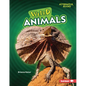 Weird Animals - Paperback
