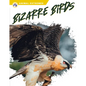 Bizarre Birds - Library Binding