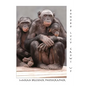 Bonobo Lucy Grows Up - Paperback