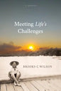 Meeting Life's Challenges - Paperback