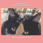 Cali The California Calico Cat - Paperback