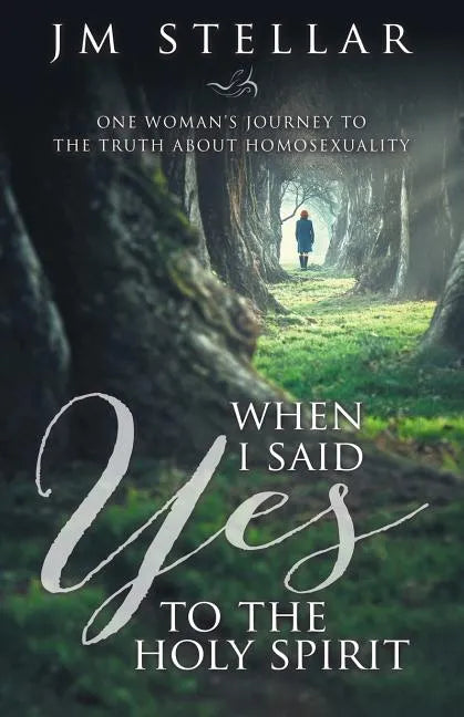 When I Said Yes to the Holy Spirit: One Woman's Journey to the Truth About Homosexuality - Paperback
