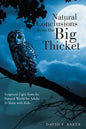 Natural Conclusions from the Big Thicket: Scriptural Light from the Natural World for Adults to Share with Kids - Paperback