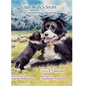 Little Molly's Secret: An Unexpected Champion - Hardcover