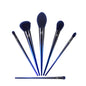 Eye and Face Loose Powder High Gloss Blush Smudge Makeup Brush Set