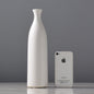 Table Decoration Creative Home Furnishings Ceramic Crafts Vases