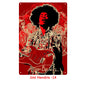 Tin Painting Bar Clothing Store Home Furnishing Wall Decoration