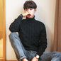 Winter Padded Pullover Turtleneck Men's Sweater Plus Size