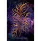 The Celestra - Paperback