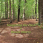 Imagining the Past at Mount Misery - Paperback