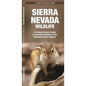 Sierra Nevada Wildlife: A Folding Pocket Guide to Familiar Animals of the Montane Forest Region