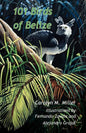 101 Birds of Belize - Paperback