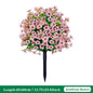 Eucalyptus Violet Floor Outlet Garden Green Plant