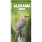 Alabama Birds: An Introduction to Familiar Species - Paperback