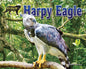Harpy Eagle - Paperback