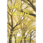 san lazaro: treinta días en oración, y consagración - Paperback