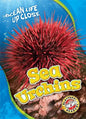 Sea Urchins - Library Binding