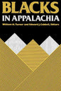 Black in Appalachia - Paperback