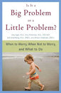 Is It a Big Problem or a Little Problem? - Paperback