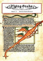 Flying Snake -Volume One - Paperback