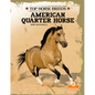 American Quarter Horse - Hardcover
