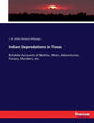 Indian Depredations in Texas: Reliable Accounts of Battles, Wars, Adventures, Forays, Murders, etc. - Paperback