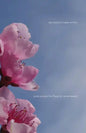 My Teacher's Name is Love: Some Poems for Prem - Paperback