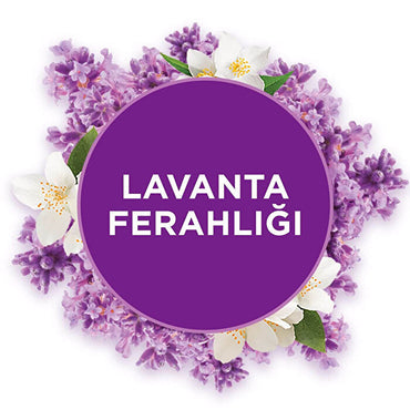 Glade Lavender Air Freshener Replacement - 1 Unit | Fresh Scent