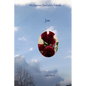 Jon: The Journey Emerald's Travels - Paperback