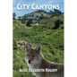City Canyons - Paperback