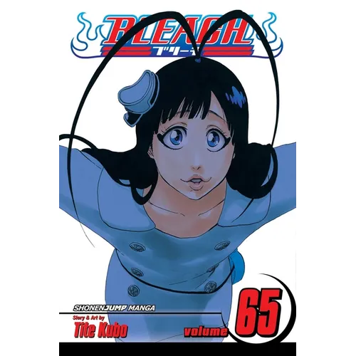 Bleach, Vol. 65 - Paperback