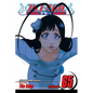 Bleach, Vol. 65 - Paperback
