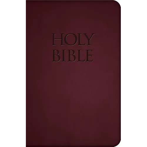 Holy Bible-Nab - Imitation Leather