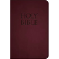 Holy Bible-Nab - Imitation Leather