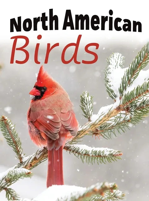 North American Birds - Hardcover