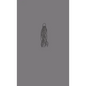 Gray Jellyfish - Paperback