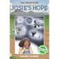 Josie's Hope: A Secret City Revealed: A Secret City Revealed - Paperback