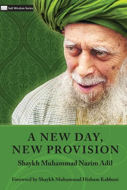 A New Day, New Provision - Paperback