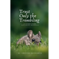 Trust Only the Trembling: & Other Poems Exploring Manhood - Paperback