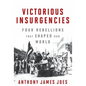Victorious Insurgencies: Four Rebellions That Shaped Our World - Hardcover