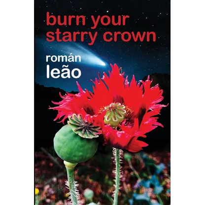 Burn Your Starry Crown - Paperback