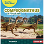 Compsognathus: A First Look - Paperback