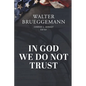 In God We Do Not Trust: The Ten Commandments of MAGA and other essays - Paperback