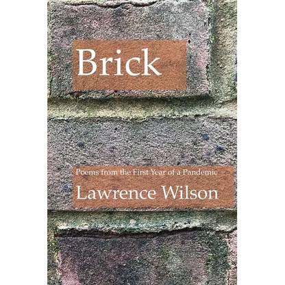 Brick: Poems from the First Year of a Pandemic - Paperback