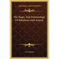 The Magic And Demonology Of Babylonia And Assyria - Hardcover