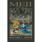 Meji Book Two - Paperback