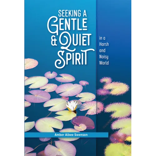 Seeking a Gentle and Quiet Spirit in a Harsh and Noisy World - Paperback