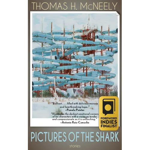 Pictures of the Shark: Stories - Paperback