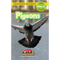 Pigeons: Animals in the City (Engaging Readers, Level Pre-1) - Hardcover
