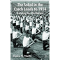 The Sokol in the Czech Lands to 1914: Training for the Nation - Hardcover